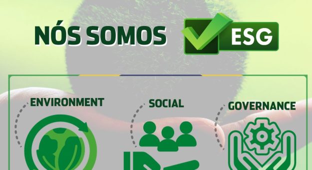 Visit Para a NASCAR Brasil o ESG é muito mais que uma sigla page